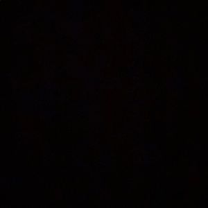 Meet your Posher, Evan